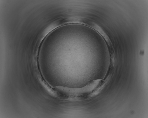 X0000096661002200802051214
