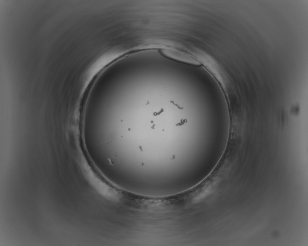 X0000096661003200802051214