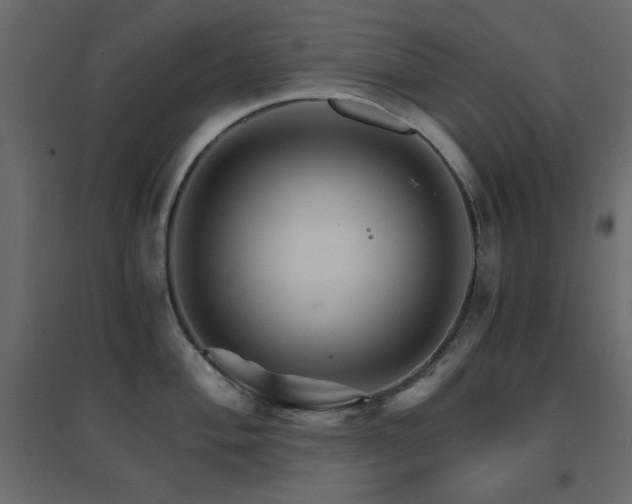 X0000096661004200802051214