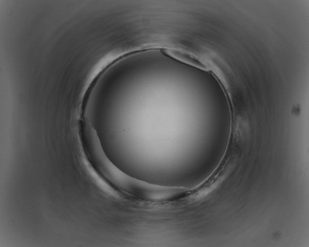 X0000096661005200802051214