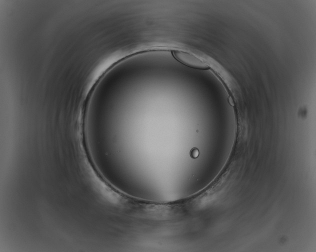 X0000096661006200802051214