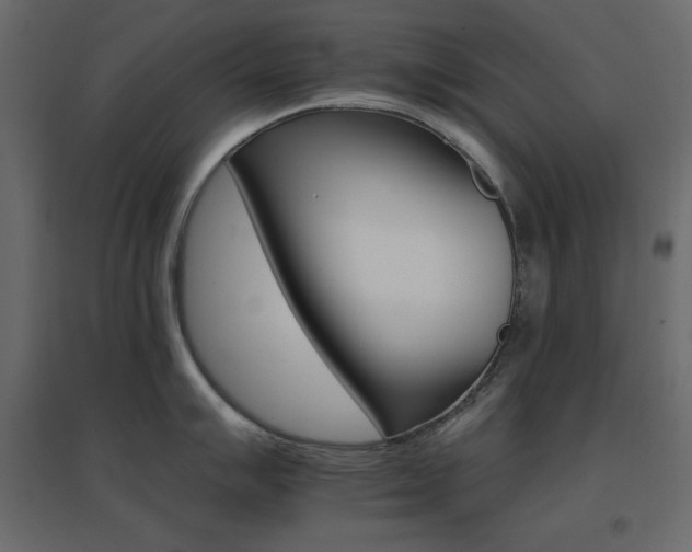 X0000096661007200802051214