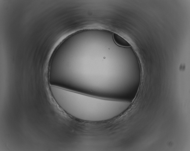 X0000096661008200802051214
