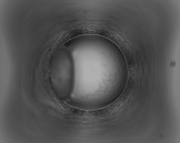 X0000096661009200802051213