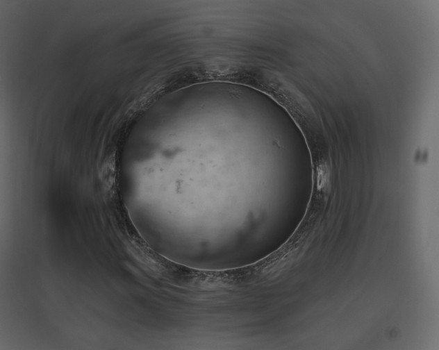 X0000096661011200802051213