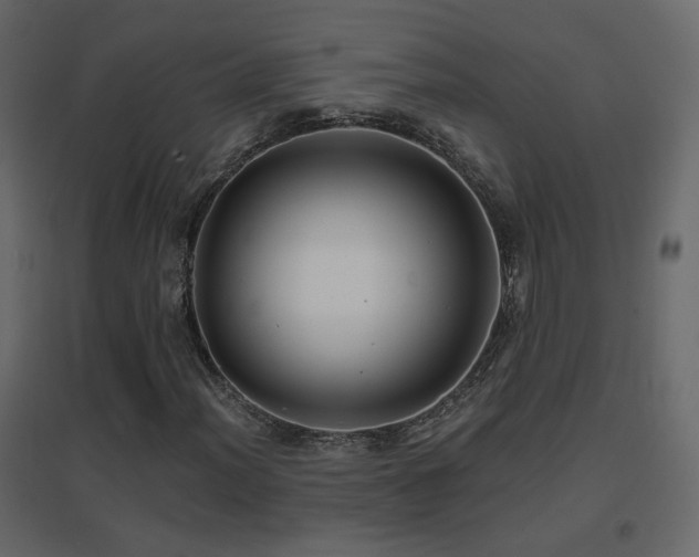 X0000096661012200802051213