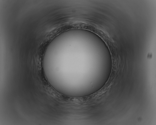 X0000096661013200802051213