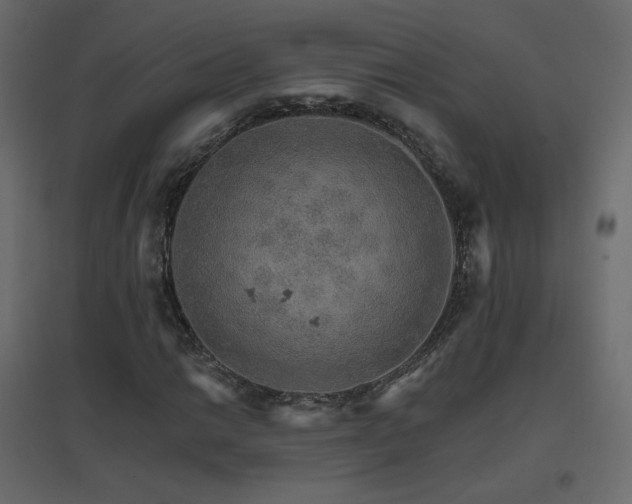 X0000096661014200802051213