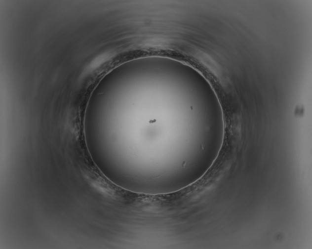 X0000096661015200802051213