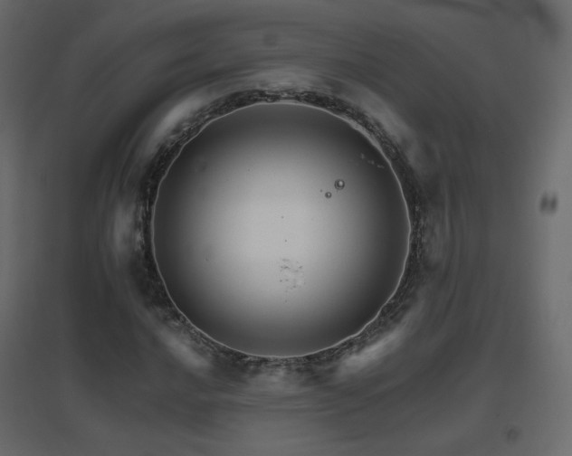 X0000096661016200802051213