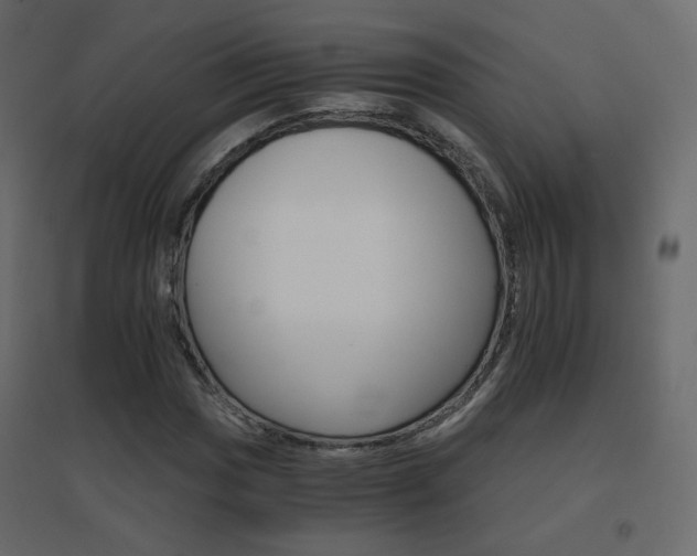 X0000096661017200802051213