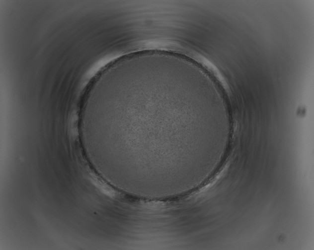 X0000096661019200802051213