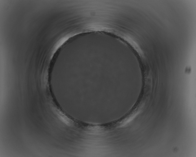 X0000096661023200802051213