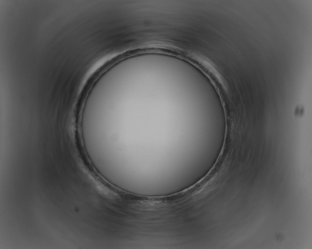 X0000096661024200802051213