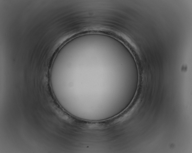X0000096661025200802051213