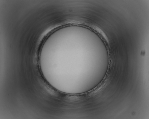X0000096661027200802051213