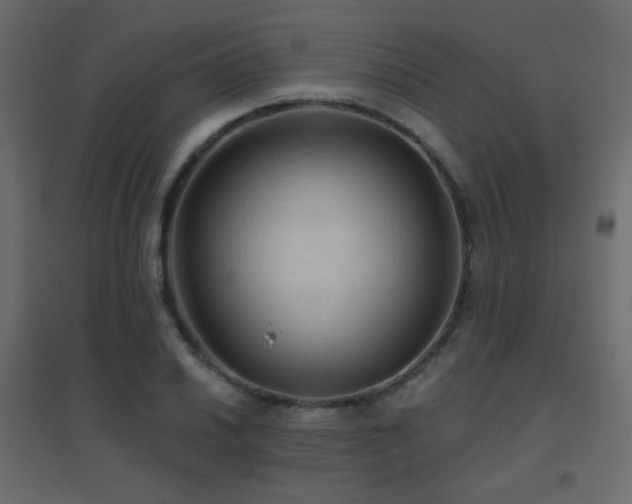 X0000096661030200802051214
