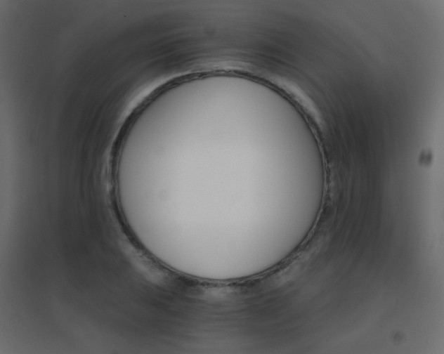 X0000096661031200802051214