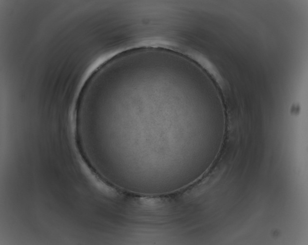 X0000096661032200802051214