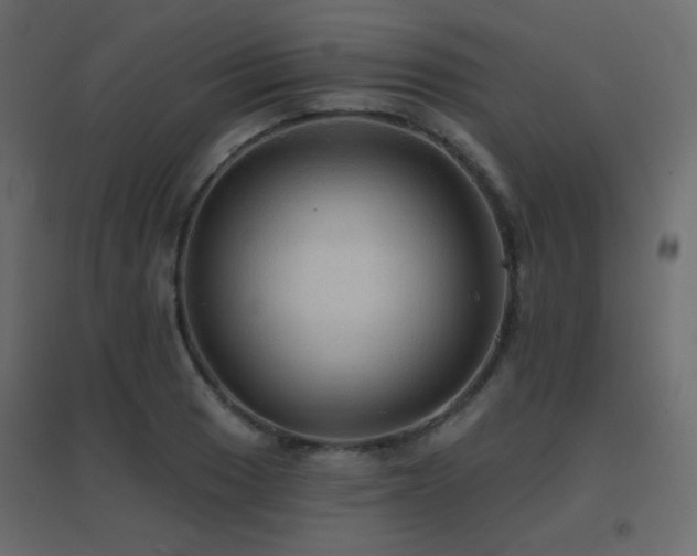 X0000096661033200802051214