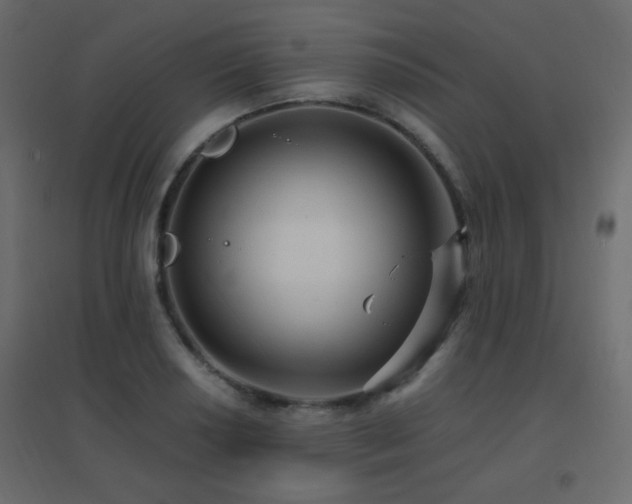 X0000096661034200802051214