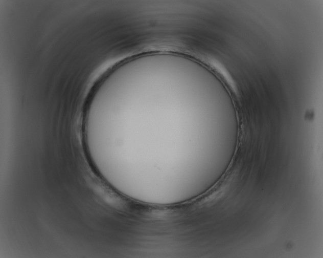 X0000096661035200802051214