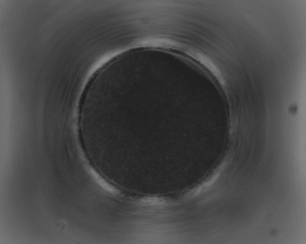 X0000096661037200802051214