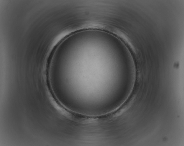 X0000096661038200802051214