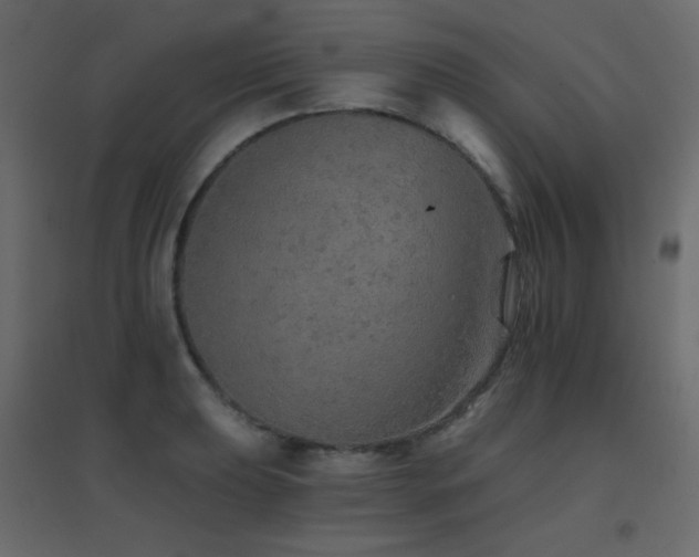 X0000096661039200802051214