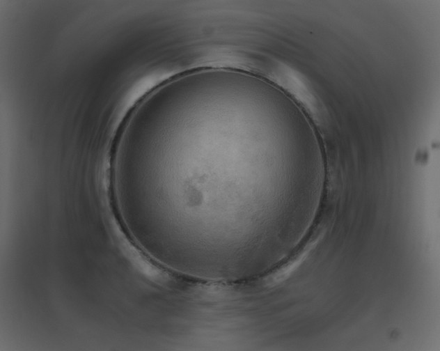 X0000096661040200802051214