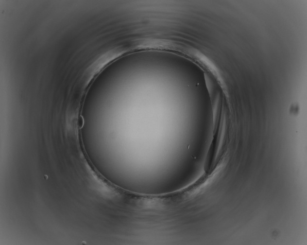X0000096661041200802051214