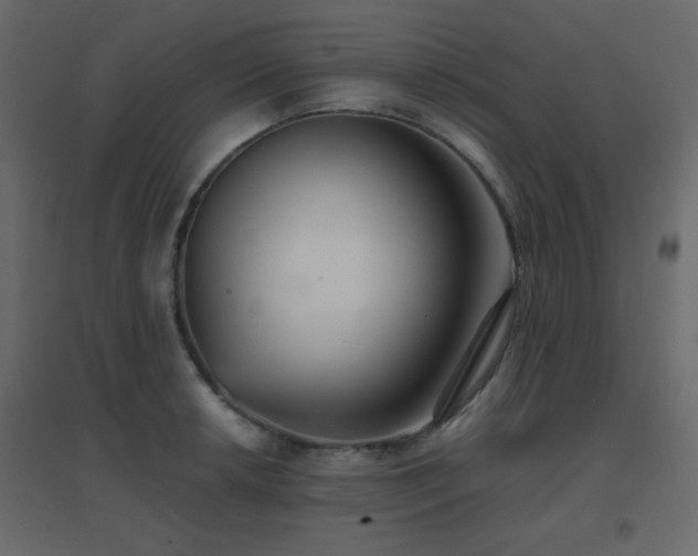 X0000096661042200802051214