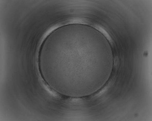 X0000096661043200802051214