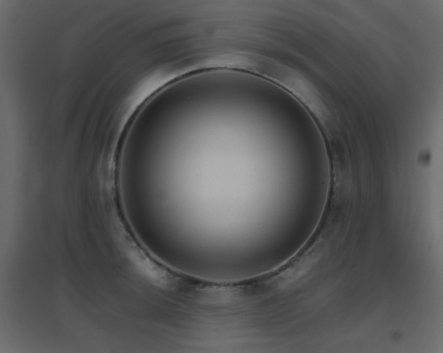 X0000096661044200802051214