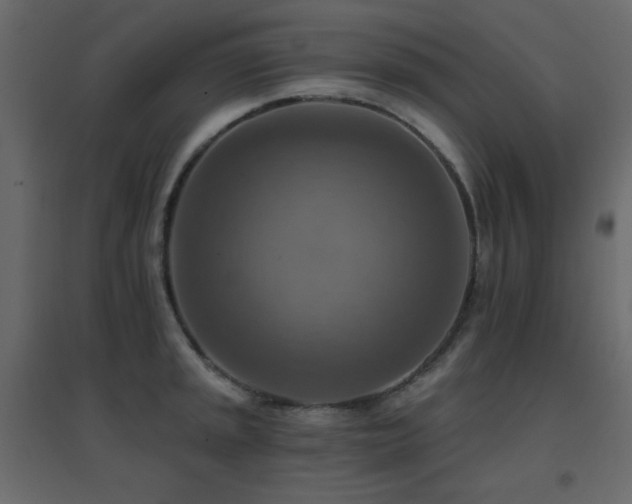 X0000096661045200802051214