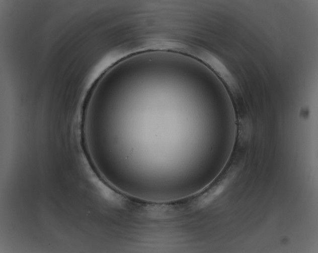 X0000096661046200802051214