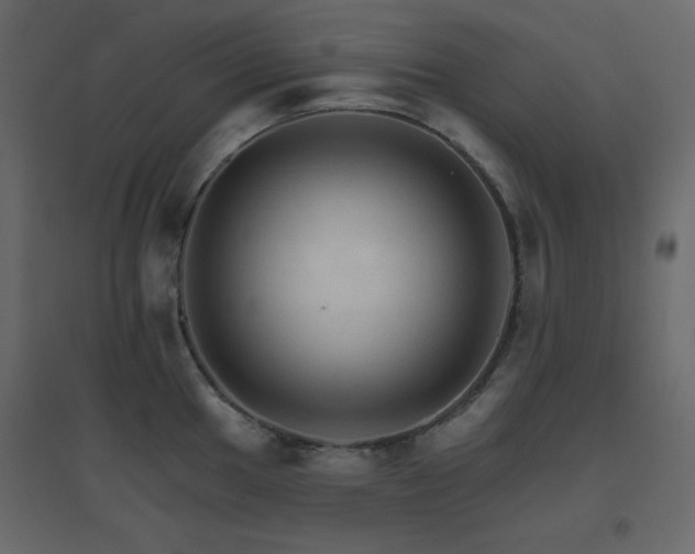 X0000096661049200802051214