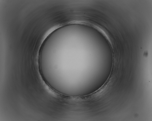 X0000096661050200802051214