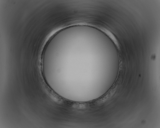 X0000096661051200802051214