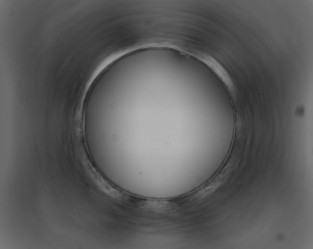 X0000096661052200802051214