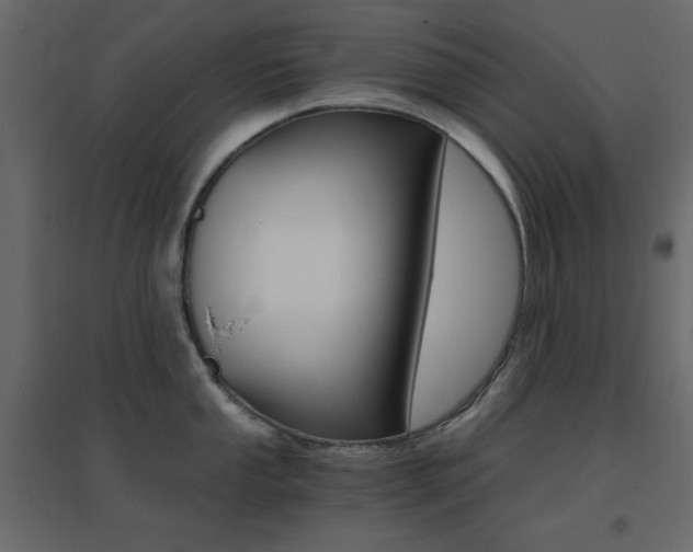 X0000096661053200802051214