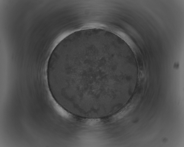 X0000096661055200802051214
