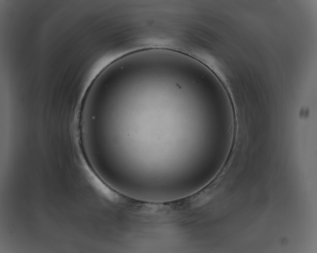 X0000096661056200802051214