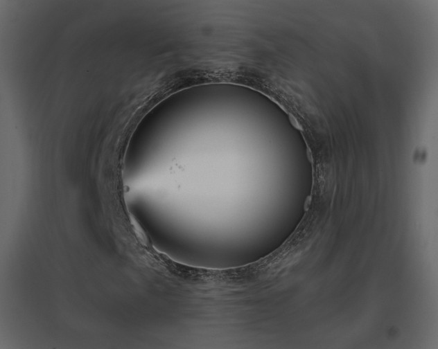 X0000096661057200802051213
