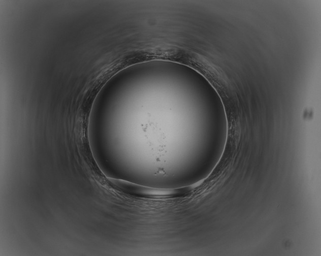 X0000096661058200802051213
