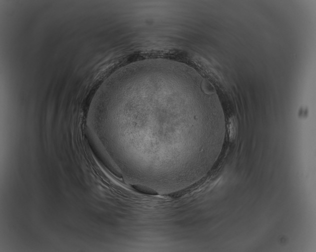 X0000096661059200802051213