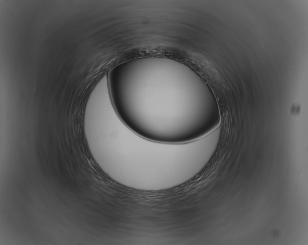 X0000096661060200802051213
