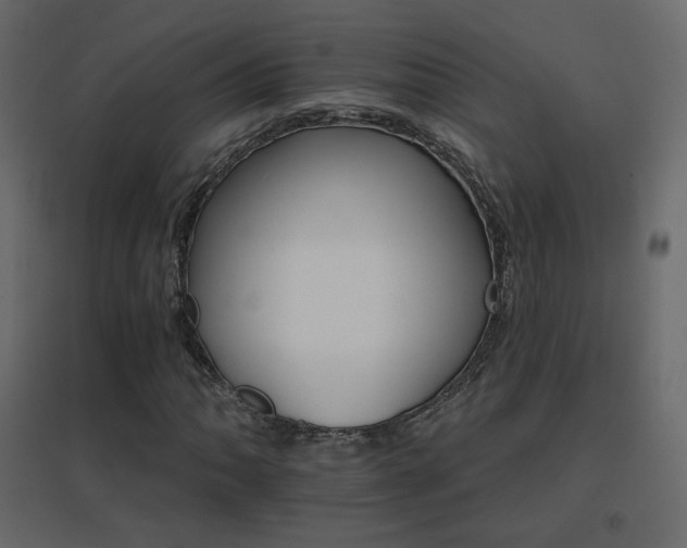 X0000096661062200802051213