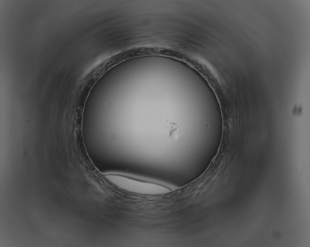 X0000096661064200802051213