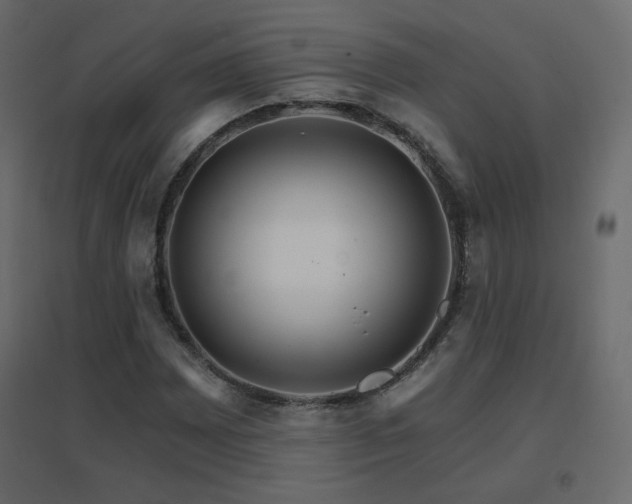 X0000096661065200802051213